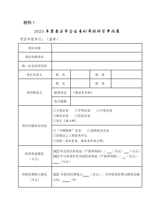 2023年度泰安市企业专利导航项目申报表