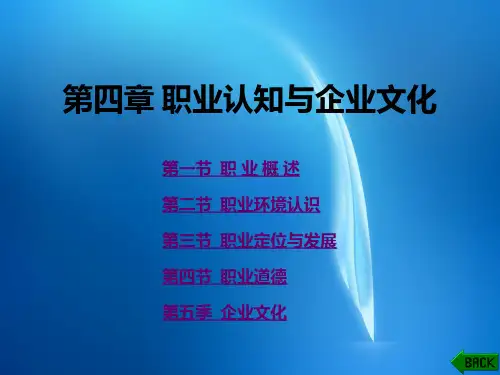 大学生职业生涯规划与就业创业指导  第4章PPT课件