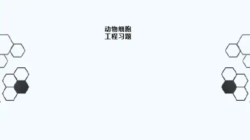 动物细胞工程习题15张ppt