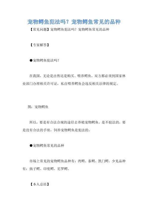 宠物鳄鱼犯法吗？宠物鳄鱼常见的品种