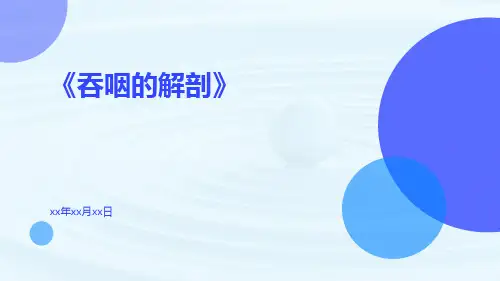 (医学课件)吞咽的解剖