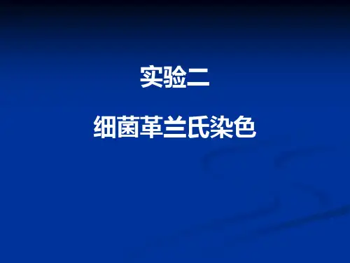 实验二细菌革兰氏染色ppt课件