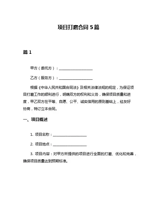 项目打磨合同5篇