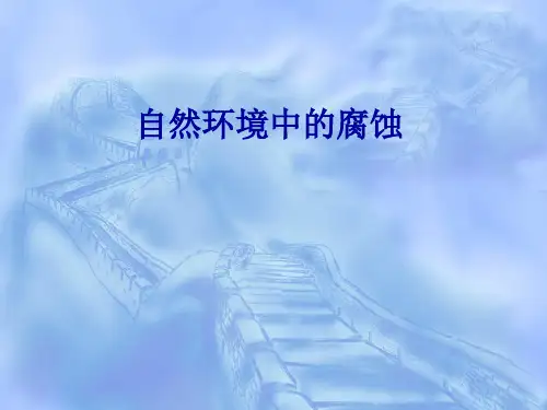金属腐蚀与防护自然环境中的腐蚀概论