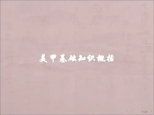 美甲基础知识概括ppt课件