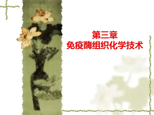 第三章免疫酶组织化学技术