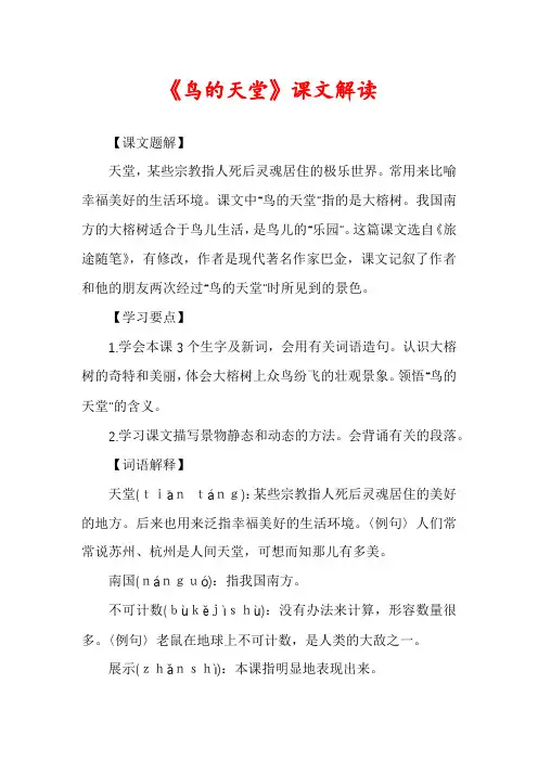 《鸟的天堂》课文解读