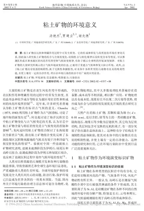 粘土矿物的环境意义_汤艳杰