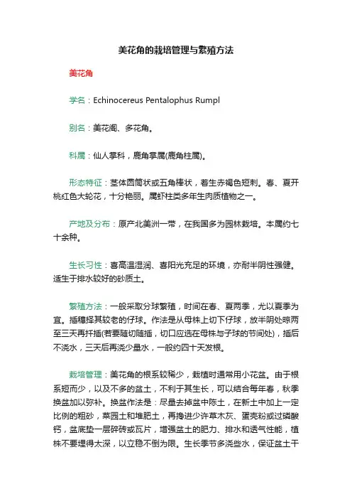 美花角的栽培管理与繁殖方法