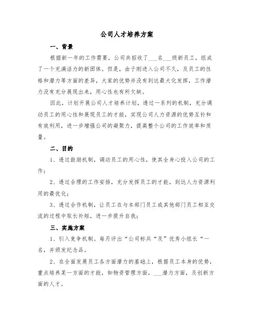 公司人才培养方案（二篇）