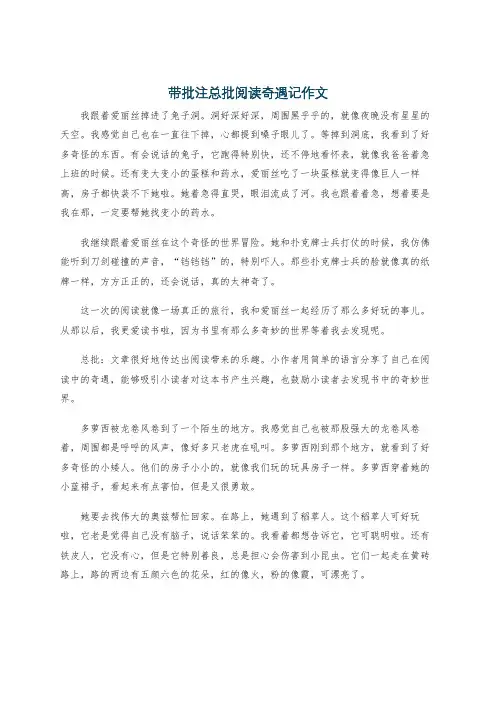 带批注总批阅读奇遇记作文
