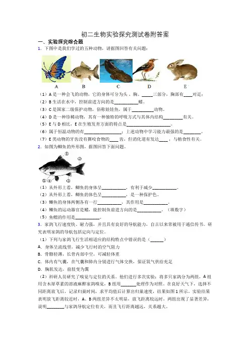 初二生物实验探究测试卷附答案