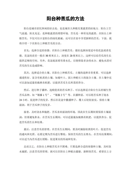 阳台种苦瓜的方法