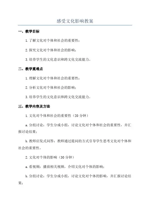 感受文化影响教案