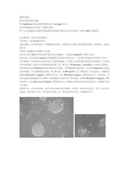 支原体污染相关知识