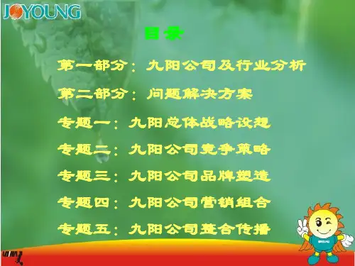 最新九阳策划大纲