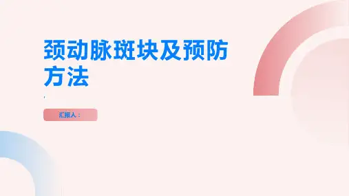 颈动脉斑块是什么如何预防它