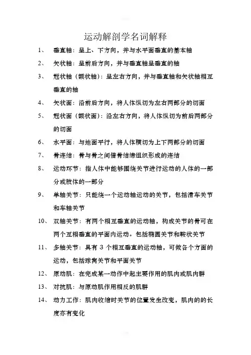 运动解剖学名词解释