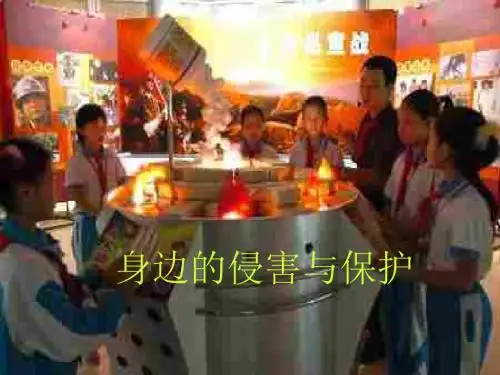 初一政治上学期身边的侵害与保护1(2019新)