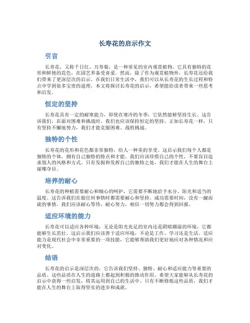 长寿花的启示作文