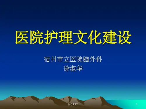《医院护理文化建设》PPT课件
