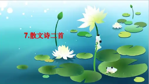 人教版七年级语文上册精品教学课件 第二单元 散文诗二首