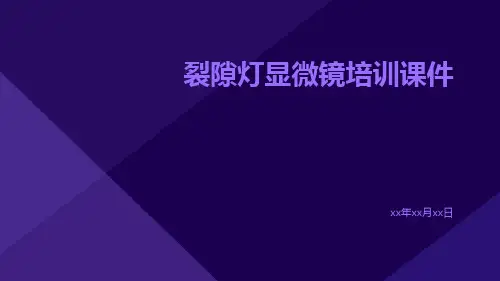 裂隙灯显微镜培训课件