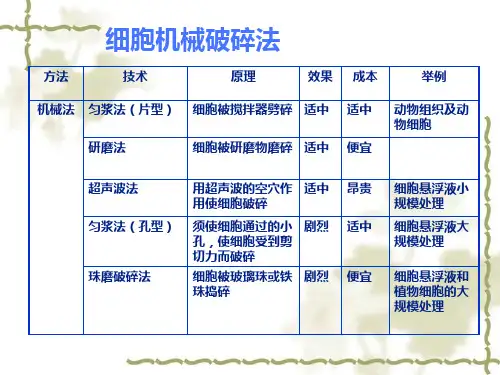 细胞的破碎