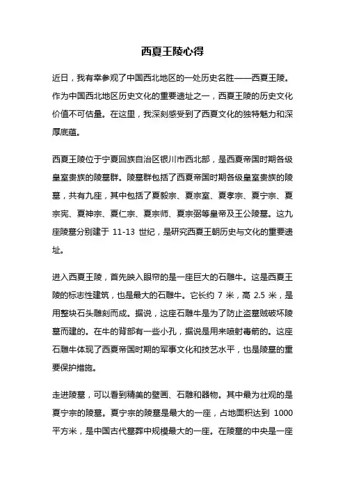 西夏王陵心得