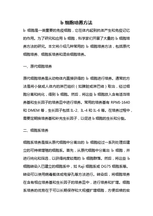 b细胞培养方法