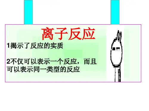 高三化学一轮复习离子反应课件