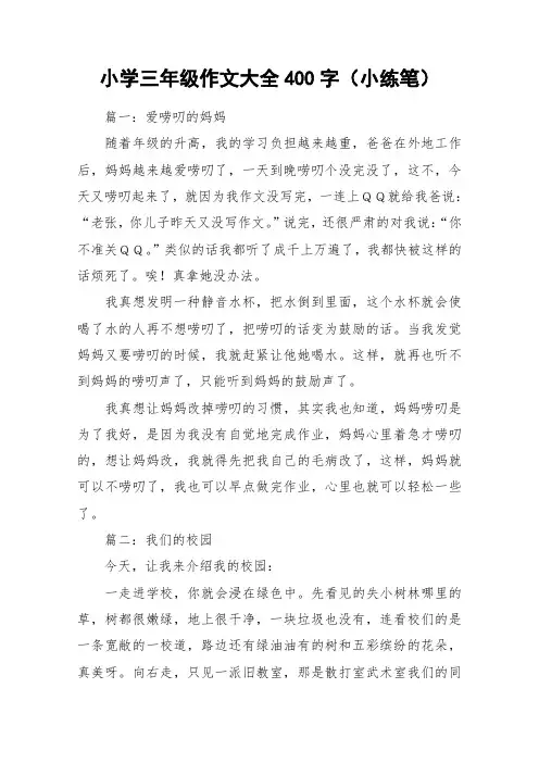小学三年级作文大全400字(小练笔)_作文