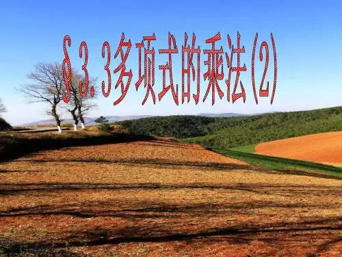 3.3多项式的乘法(2)