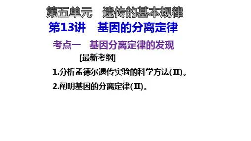 分离定律考点三(2021高三一轮复习)
