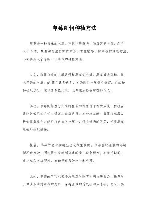草莓如何种植方法