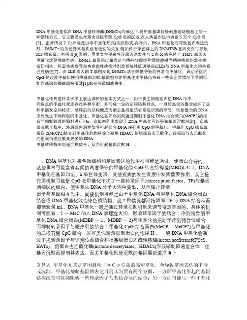 DNA甲基化的总结