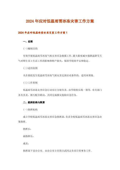 2024年应对低温雨雪冰冻灾害工作方案_2