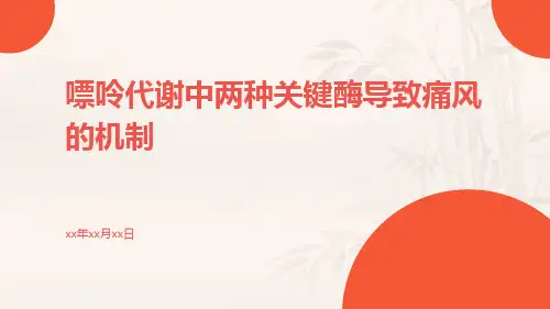 嘌呤代谢中两种关键酶导致痛风的机制