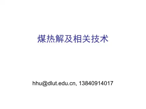 煤热解及相关技术-胡浩权