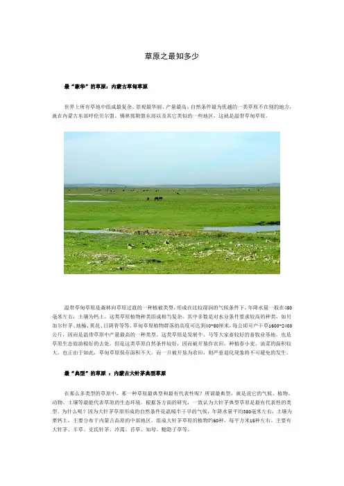 草原之美