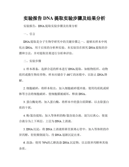 实验报告DNA提取实验步骤及结果分析