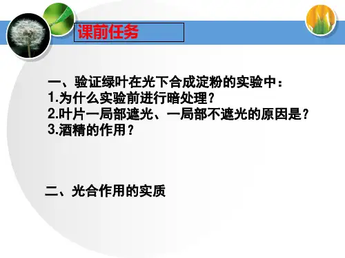 北师大版七年级生物 上册3.第5章 第3节 吸收作用(34张PPT)