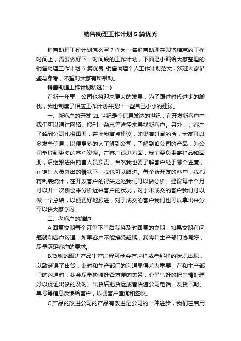 销售助理工作计划5篇优秀
