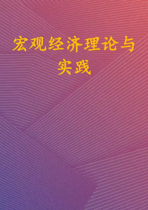 宏观经济理论与实践