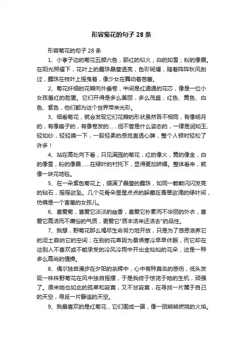 形容菊花的句子28条