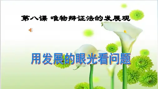 人教版高中政治必修四 8.2用发展的眼光看问题