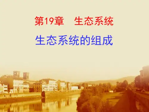 生态系统的组成 PPT优秀课件