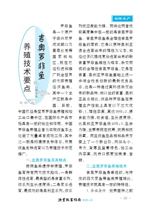 吉奥罗非鱼养殖技术要点