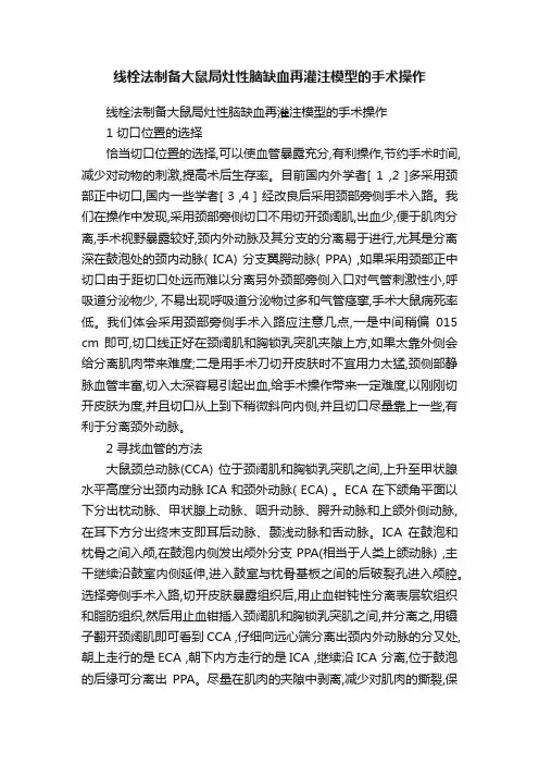 线栓法制备大鼠局灶性脑缺血再灌注模型的手术操作