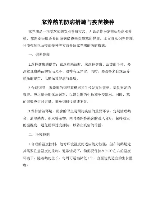 家养鹅的防病措施与疫苗接种